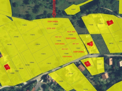 Parcele Teren cu PUZ si Toate utilitatile / Cisnadioara-Sibiu