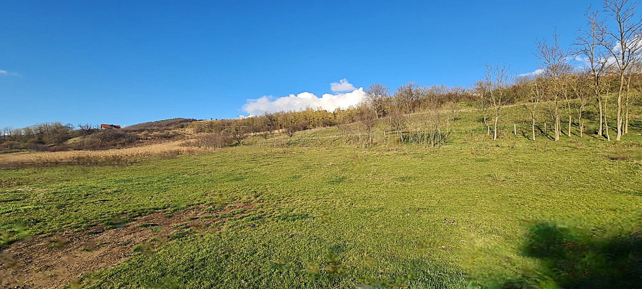 Teren intravilan\constructii \Sura Mare \ Sibiu