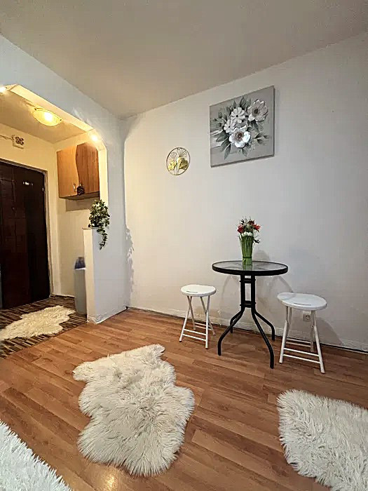 Garsoniera mica si cocheta \ Sibiu \ Vasile Aaron