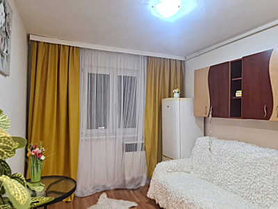 Garsoniera mica si cocheta \ Sibiu \ Vasile Aaron