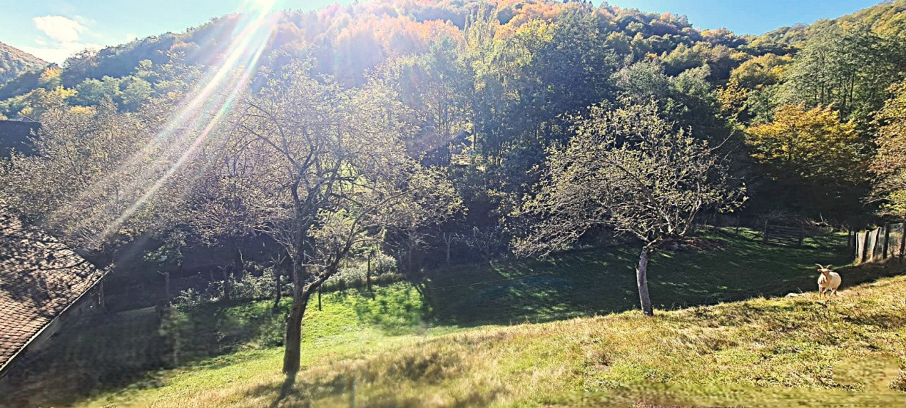 Casa rustica \ deosebita \ Marginimea Sibiului \ Fantanele