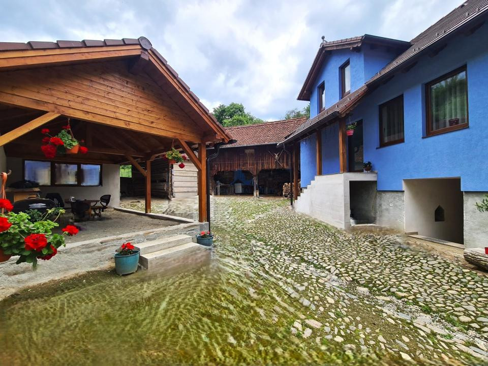 Casa rustica \ deosebita \ Marginimea Sibiului \ Fantanele