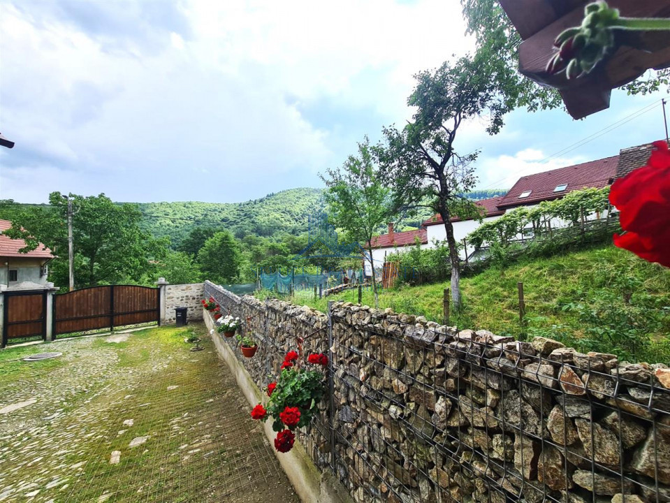 Casa rustica \ deosebita \ Marginimea Sibiului \ Fantanele