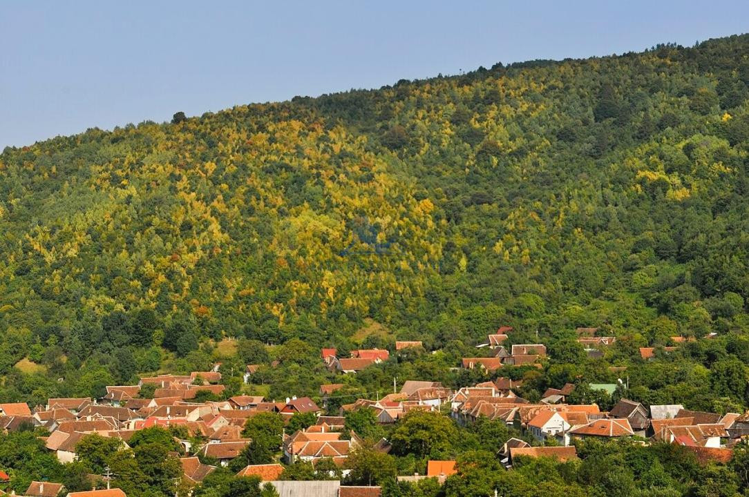 Casa rustica \ Marginimea Sibiului \ Fantanele