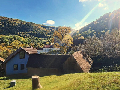 Casa rustica \ deosebita \ Marginimea Sibiului \ Fantanele