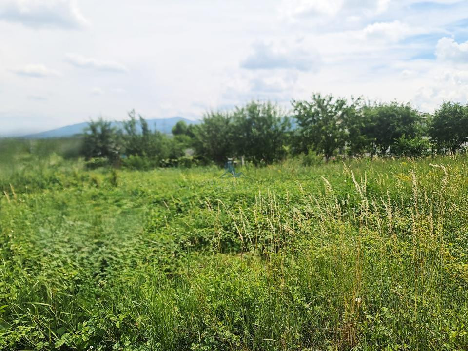 Teren Intravilan cu PUZ \ destinatie Comercial