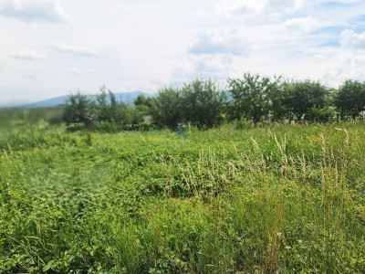 Teren Intravilan cu PUZ \ destinatie Comercial